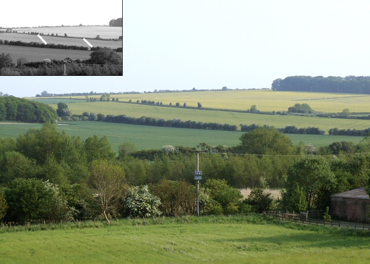 Cursus A cropmark - looking south