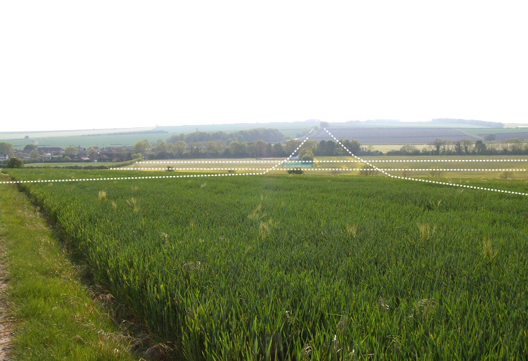 Looking west over two cursuses north of Rudston