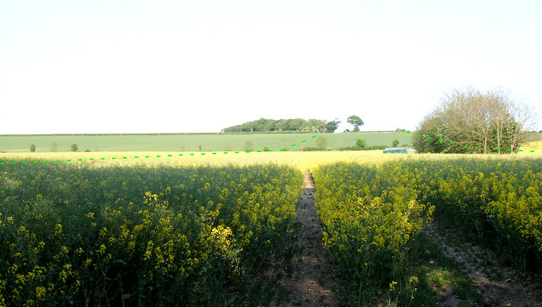 Looking eastwards along Cursus C