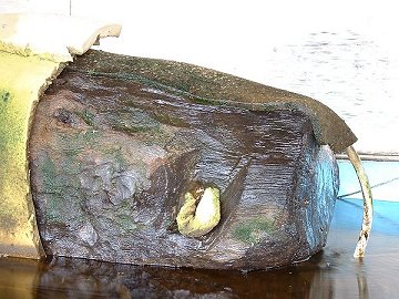 Seahenge Trunk at Flag Fen