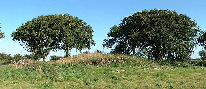 Sharp Howe