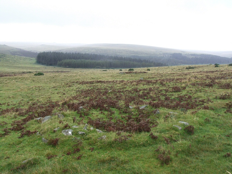 Hut circle on the northeast slope of Sharpitor