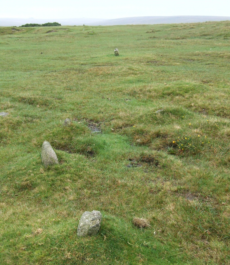 Sharpitor Stone Row