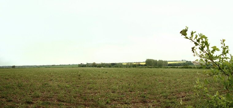 Site of Shearman's Wath Henge