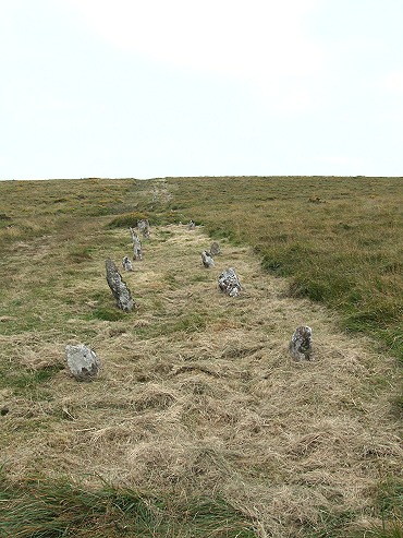 Central row looking southeast