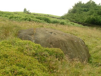 Silver Well