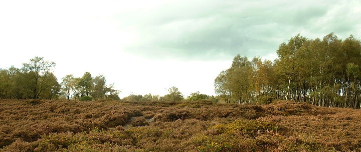 Stanton Moor Central - Looking West