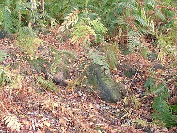 Stanton Moor North
