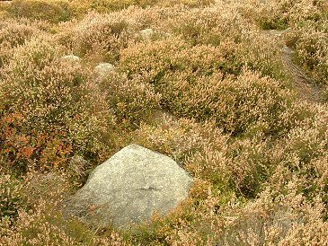 Stanton Moor South