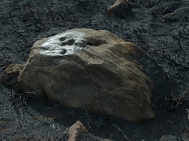 Cup marked rock PRAWR 584