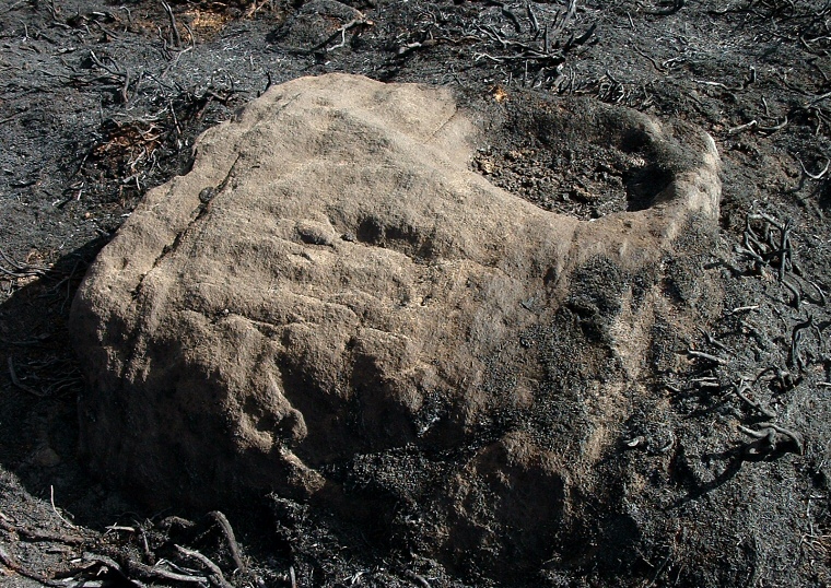 Snowden Carr Rock