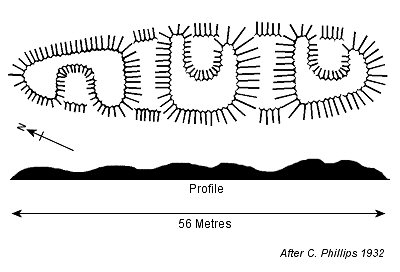 Spellow Hills Plan