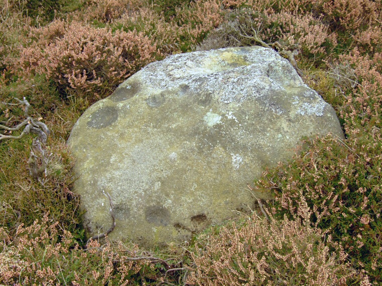 Cup marked rock with possible bowls