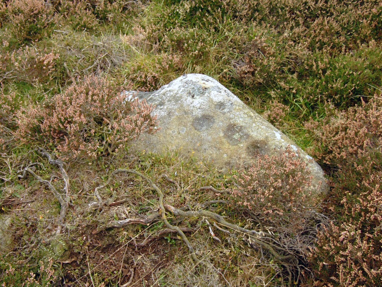 Cup marked rock
