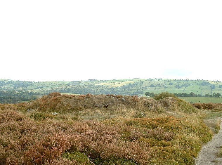 Barrow T55 on Stanton Moor