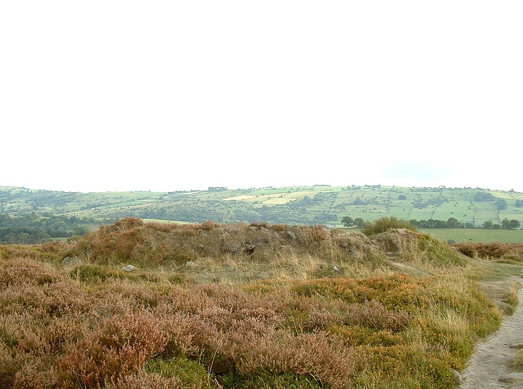 Barrow T55 on Stanton Moor