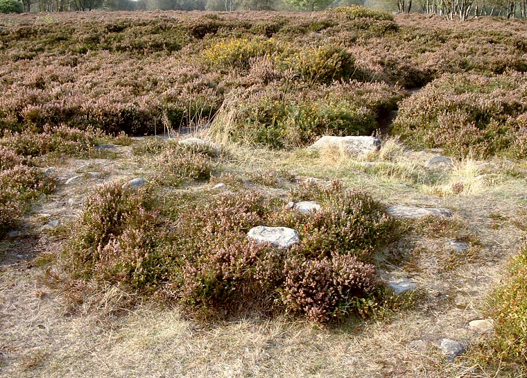 Stanton Moor Central - The cairn near the centre