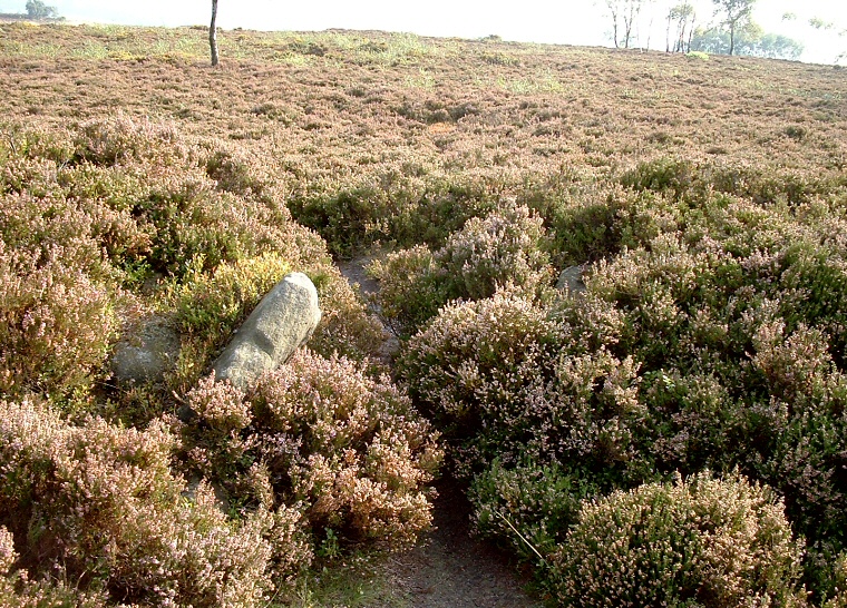 Stanton Moor Central - Southern entrance (looking outwards)