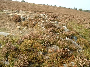 Stanton Moor - Cairn T2
