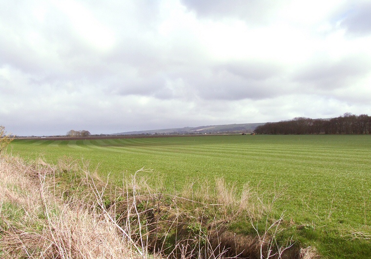 View of Star Carr looking east
