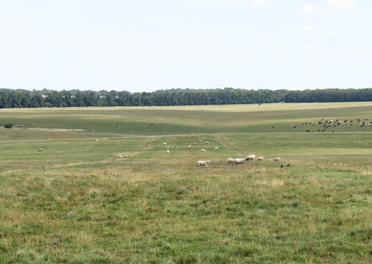 Stonehenge Avenue looking northeast