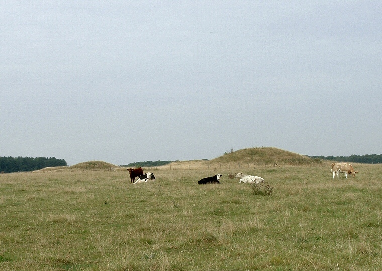 Barrows at the eastern end of the Cursus Group
