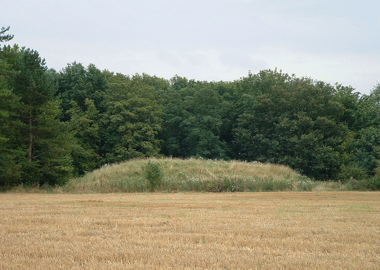 Bell barrow at the western end of the group known as the Monarch of the Plain