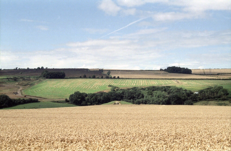 View of Stoney Littleton from across the fields