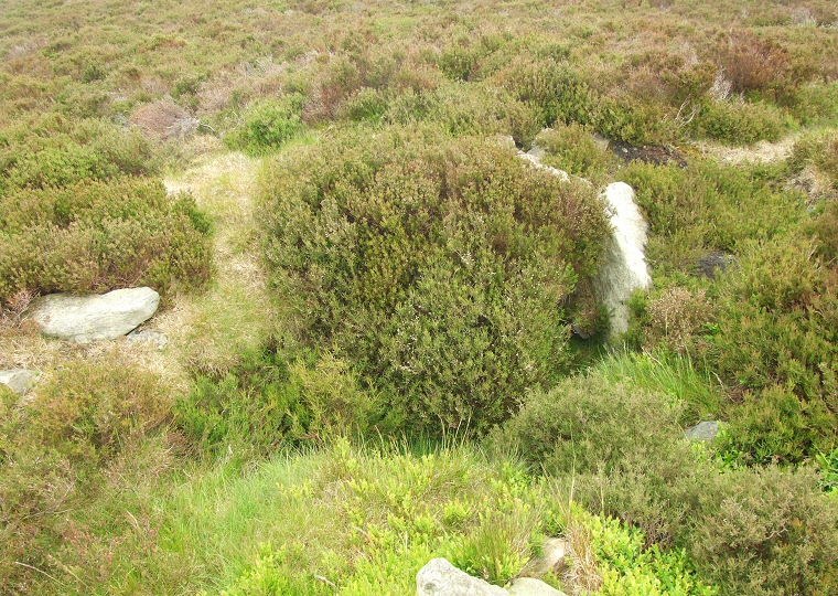 Stony Marl Howes - cist in barrow 1