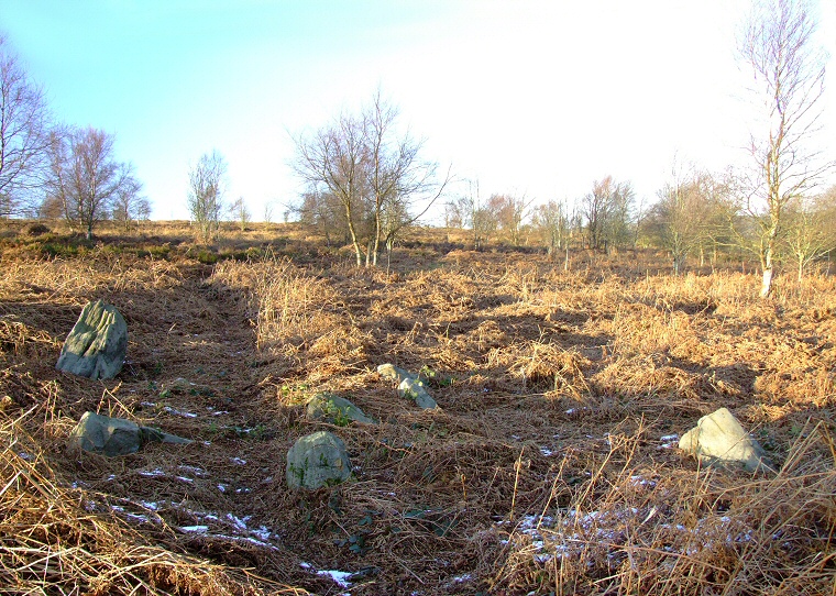 The remaining stones of Strawberry Lea