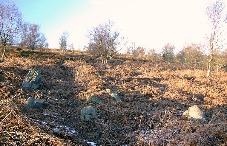 The remaining stones of Strawberry Lea