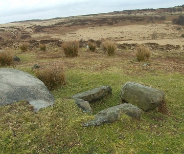 Swine Sty Cist