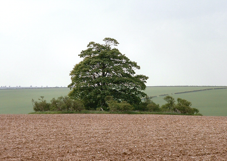 Tathwell long barrow