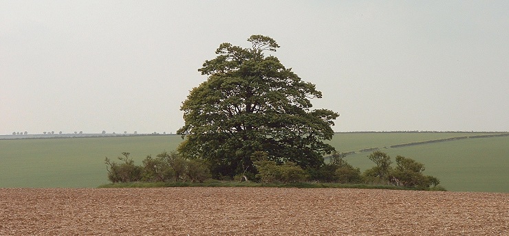 Tathwell long barrow