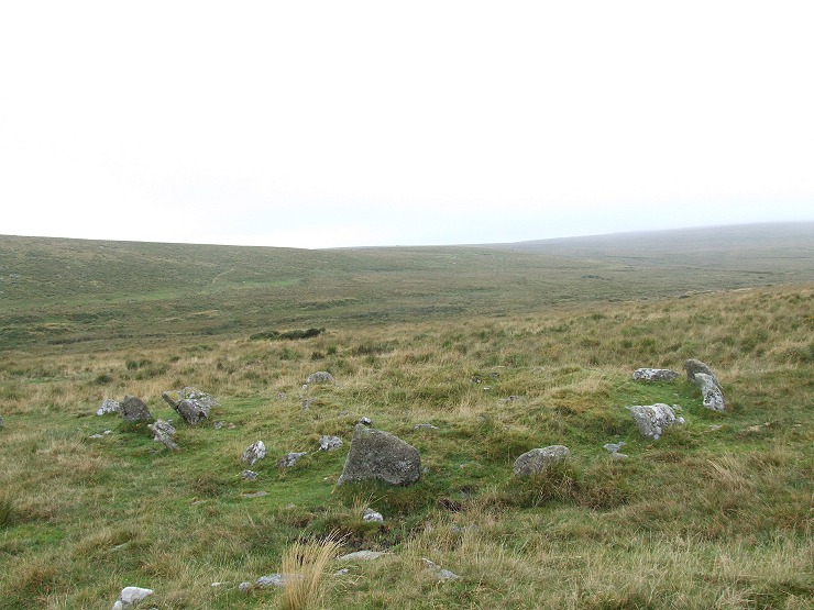 Kerb stones of the cairn at the eastern end of the double stone row at Hart Tor