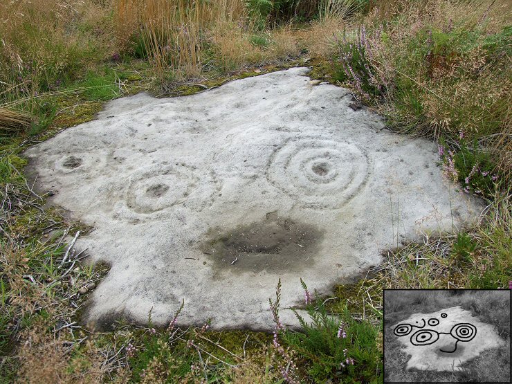 Brow Moor stone 1n