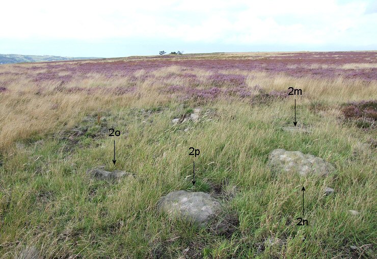 Brow Moor - Cairn with four carved rocks