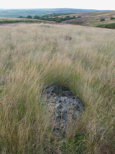 Brow Moor stone 3b