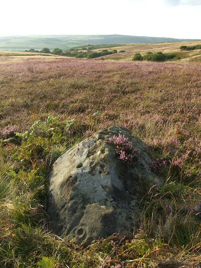 Brow Moor stone 3h