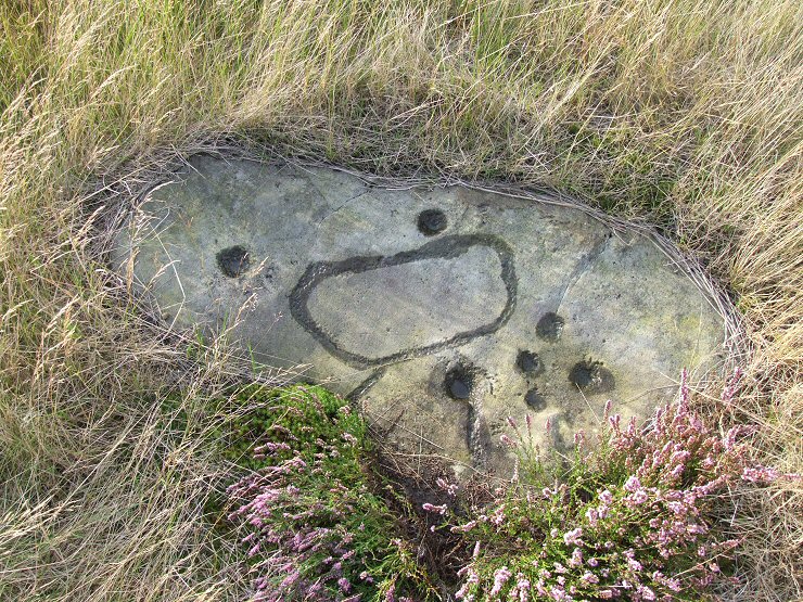 Brow Moor stone 4e