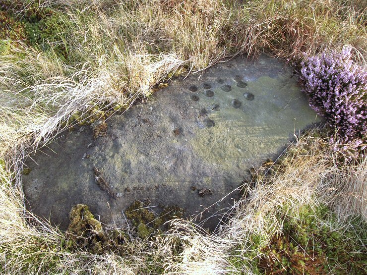 Brow Moor stone 4l