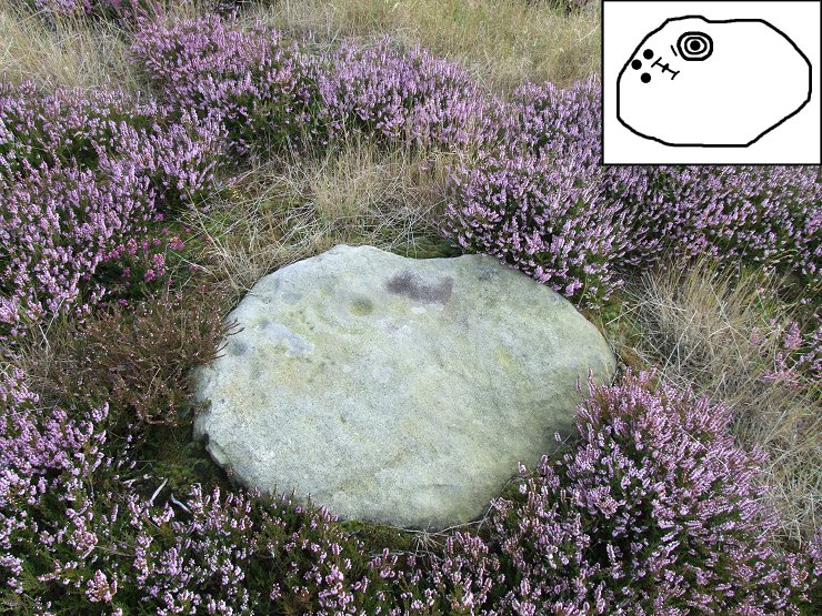 Brow Moor Stone 5c