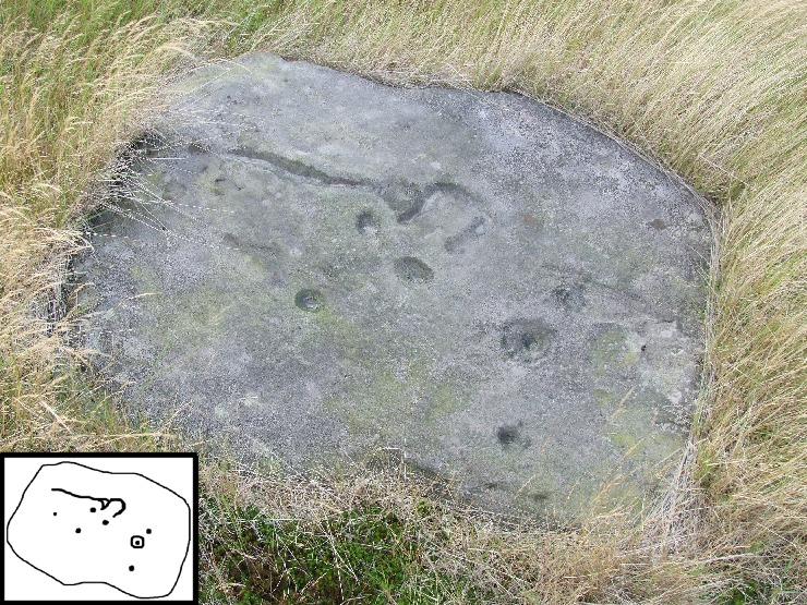 Brow Moor Stone 5h