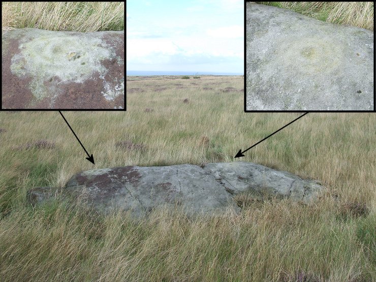 Brow Moor Stone 5i