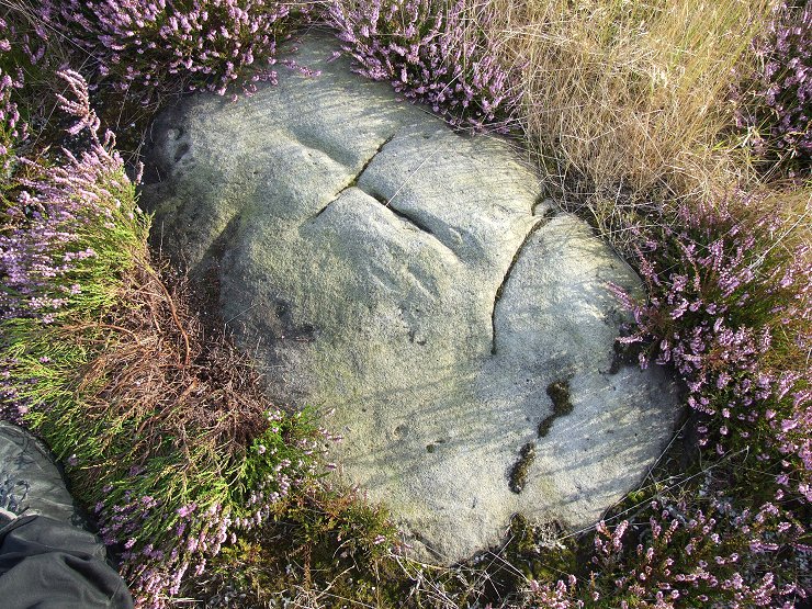 Brow Moor Stone 5o