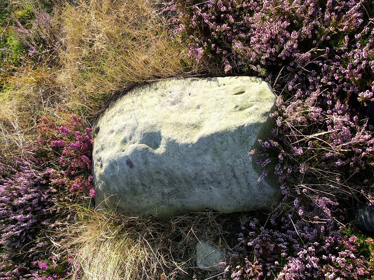 Brow Moor Stone 5r