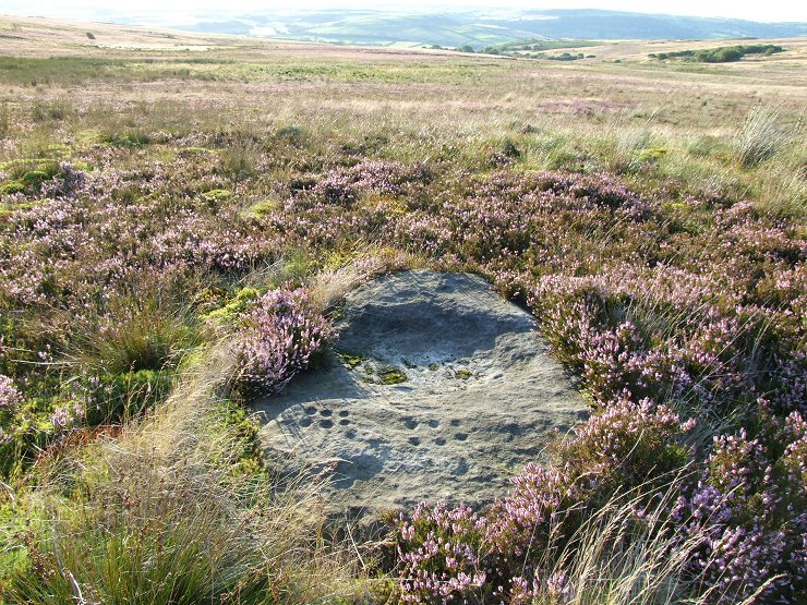 Brow Moor Stone 5v