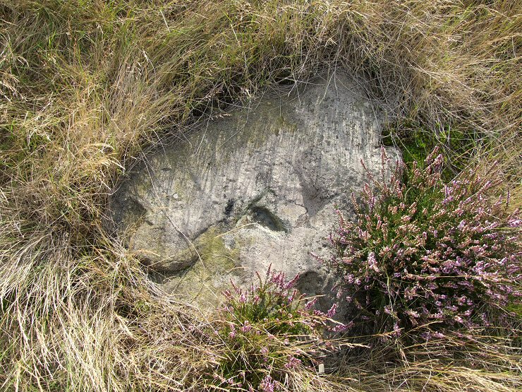 Brow Moor stone 8d