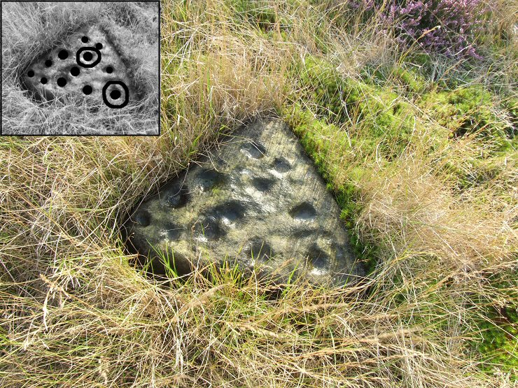 Brow Moor stone 8g