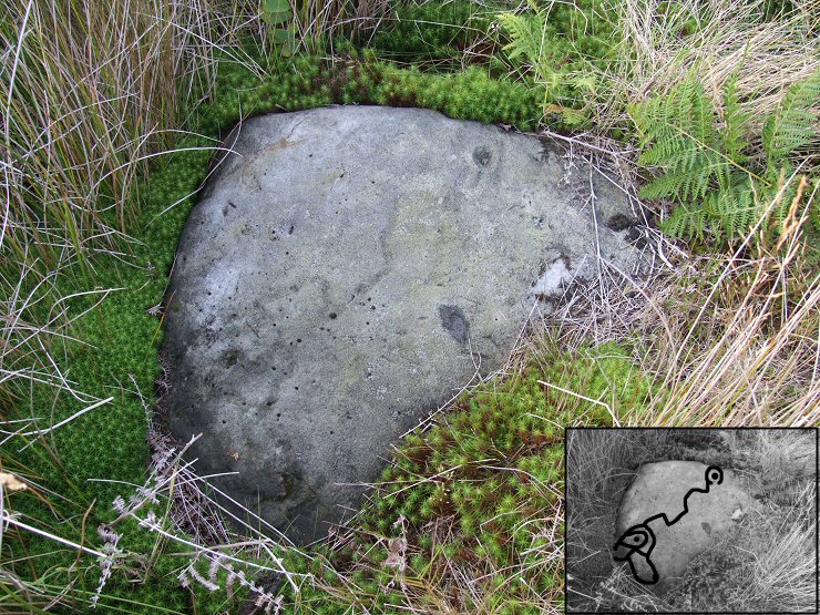 Brow Moor stone 8t